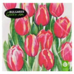 Салфетки трехслойные Дыхание весны 33*33 20шт