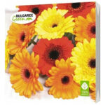 Салфетки трехслойные Герберы 33*33 20шт