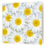 Салфетки трехслойные Ромашки 33*33 20шт