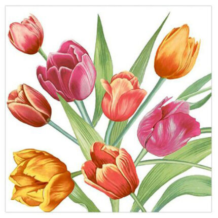 Салфетки однослойные Тюльпаны 24*24 100шт